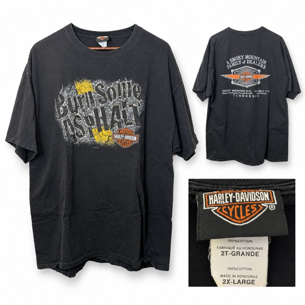 VTG Harley Davidson Smokey Mountain Tennessee Burn Asphalt Black Tee Shirt